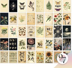 97 Decor Vintage Botanical Wall Collage Kit – 40 Unframed Mini Posters (4×6) for