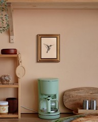 Elegant Vintage Gold Framed Canvas Hummingbird Art – 10L x 8W for Living Space