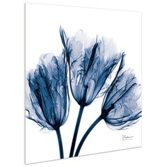 24×24 Blue Tulip Tempered Glass Wall Art by Koetsier Perfect Home Decor