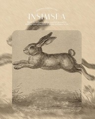 13×16 Gold Framed Wall Art, Sketch Cute Jumping Bunny Canvas Prints, Farmhous…