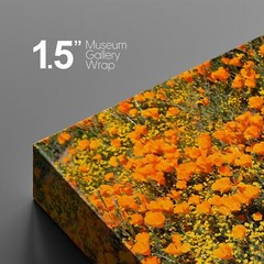 Wall26 Canvas Print Orange Tulip Flower Floral Field Landscape Art