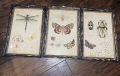 Nature Botanical Rustic Framed Prints Set Of 3 WallArt DragonflyButterflyInsects