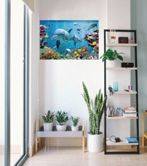 Tropical Underwater- Ocean Sea Life – Nature Poster (Dolphins, Sea Turtle…)