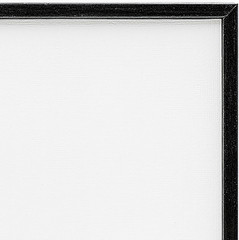 Charming Skiing Dog Framed Giclee Wall Art by Fab Funky