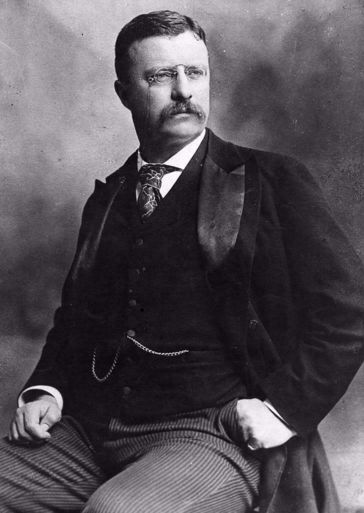 THEODORE ROOSEVELT GLOSSY POSTER PICTURE PHOTO president teddy bull moose 2281
