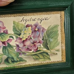 Floral Botanical Framed Art Green Frame Pansy Hydrangea Pair Cottage Farmhouse