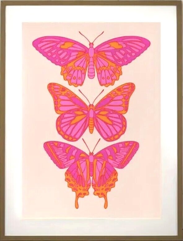 2 Sizes Retro Bright Pink & Orange Butterflies Butterfly Canvas Print Poster