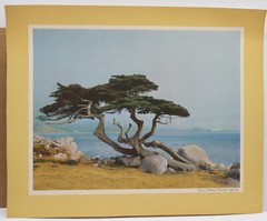 VINTAGE 1960’s STANDARD OIL CO OF CALIFORNIA SEE YOUR WEST COLOR PRINTS 13 pcs