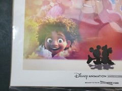 New Disney Animation Immersive Experience Print Poster – Free Shipping!