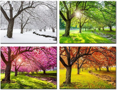 4 Piece Canvas Wall Art Spring Summer Autumn Winter Four Seasons Landscape Color