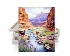 16×20 Desert Canyon Canvas Print Wall Art