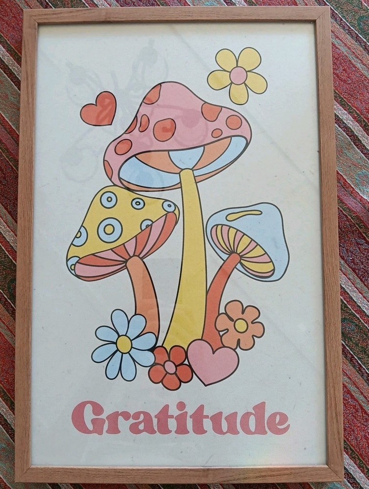 Sapna Shah Framed Wall Art Mushrooms Retro “Gratitude” Home Decor 18’ x 12’