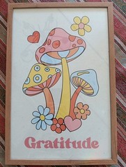 Sapna Shah Framed Wall Art Mushrooms Retro “Gratitude” Home Decor 18’ x 12’