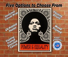 Power and Equality Shepard Fairey Canvas Wrap Wall Decor PosterWall Art Print