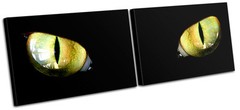 Cats Eyes Animals MULTI CANVAS WALL ART Picture Print VA