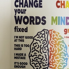 15 X 11 Framed Canvas Mindset Wall Art Classroom Home Therapy Office Teenager