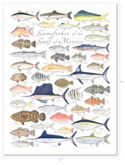 18×24 Gamefishes of the Gulf of Mexico poster – Val Kells Nature Prints
