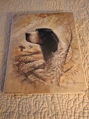 Vintage NOS Ruane Manning Print English Pointer 8×10 Inch