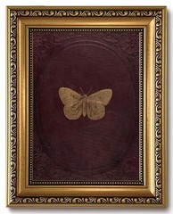 Vintage Gold Framed Wall Art Butterfly Wall Decor Moody Canvas Art Insect Pic…