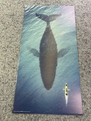 Big Fish Kayak Poster – Whale and Kayaker Ocean Art Print by MusicMan 24”x12”