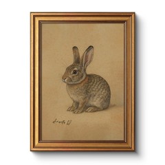 Vintage Gold Framed Canvas Wall Art Rabbit Artwork, Easter Bunny 12×16 Inch A…