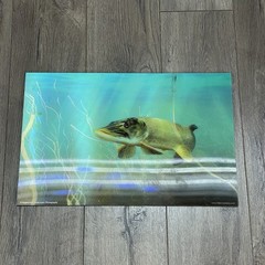 3D Art Wildlife Hologram Lenticular Poster Fish Pike Musky Place Mat 17”x11”