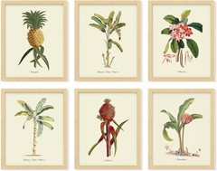 Vintage Botanical Wall Art Decor Plant Posters For Room Aesthetic Vintage