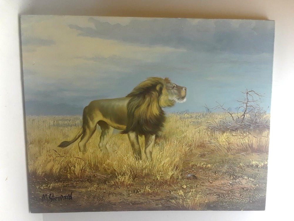NEW lion in wilderness Oil Painting on canvas 16″x20″