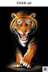 3D Lenticular Picture / Poster Artwork Unique Wall Decor Holographic Pics-2 PACK