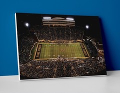 Wake Forest Football Stadium Poster or Canvas – Demon Deacons Football Wall Art