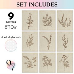 Botanical Wall Art – Vintage Botanical Prints, Plant Art Wall Decor, Neutral …