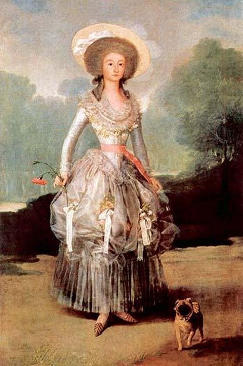 Portrait of Marquesa de Pontejos y Sandoval Francisco de Goya Poster Print