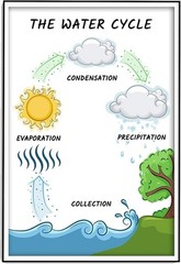 Water Cycle Poster 12×18 Science Classroom Decor Elementary Middle High