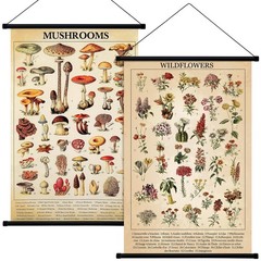 Vintage Mushroom Flower Butterfly Wall Art Poster Rustic Decor 15.7×23.6″
