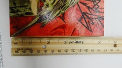Urban Finch 5×5 Signed Art Distressed Graffiti Bird Illustration Plywood