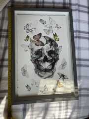 MARMONT Skull with Butterflies Art Print Poster, 16×12 in, Multicolor, Paper