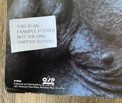 Silverback Gorilla Middle Finger Vintage Poster 23 x 35 Retro Style 80’s