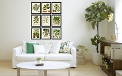 Herbs and Spices Print Set Botanical Wall Art of 9 Prints Beautiful Unframed
