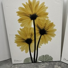 Set of 2 Yellow Daisy Canvas Wall Art – A. Kashian Botanical Floral Prints