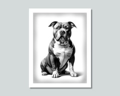 AMERICAN BULLY Dog Photo Picture Pet Print in 8×10, 8.5×11 or 11×14 WB3b