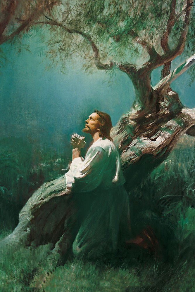 Jesus In The Garden Of Gethsemane Religious Print Wall Art Home – POSTER 20×30