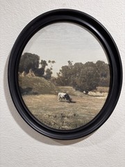 Framed Multicolor Cow Wall Art Print, Animals Theme, Adult Home Decor