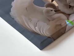 Elegant Swan And Cygnets Family Canvas Wall Art Nature Animal Wildlife Print