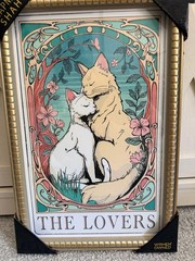 Sapna Shah Framed Wall Art feral Cats “The Lovers” Home Decor 18’ x 12’ Viral