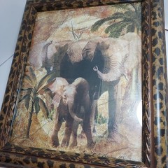 Set Of 5 Vintage African Wildlife Framed Art Prints With Leopard Pattern Frames