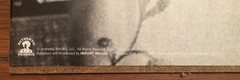 Jimi Hendrix Poster Purple Haze Authentic Hendrix Chuck Boyd 36″ x 11.75″