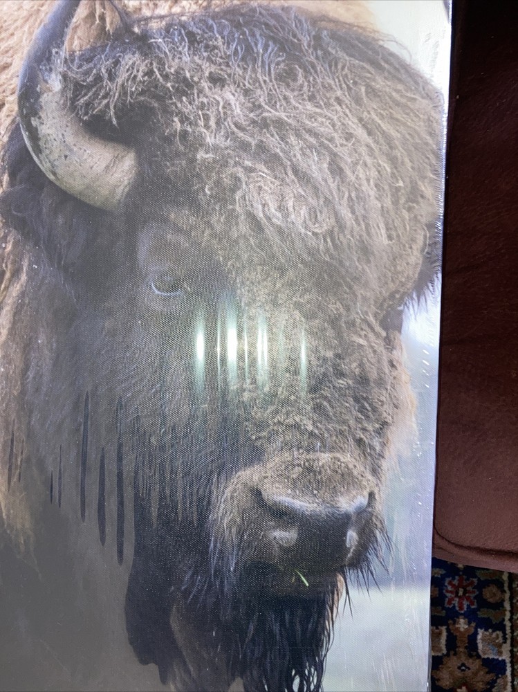 Vintage Buffalo Canvas Wall Art Decor – 16×24 3 Piece Set (Total 48X72 inches)