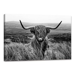 Highland Cow Wall Art Black and White Animal Wall Decor Canvas Cow Picture Hi…