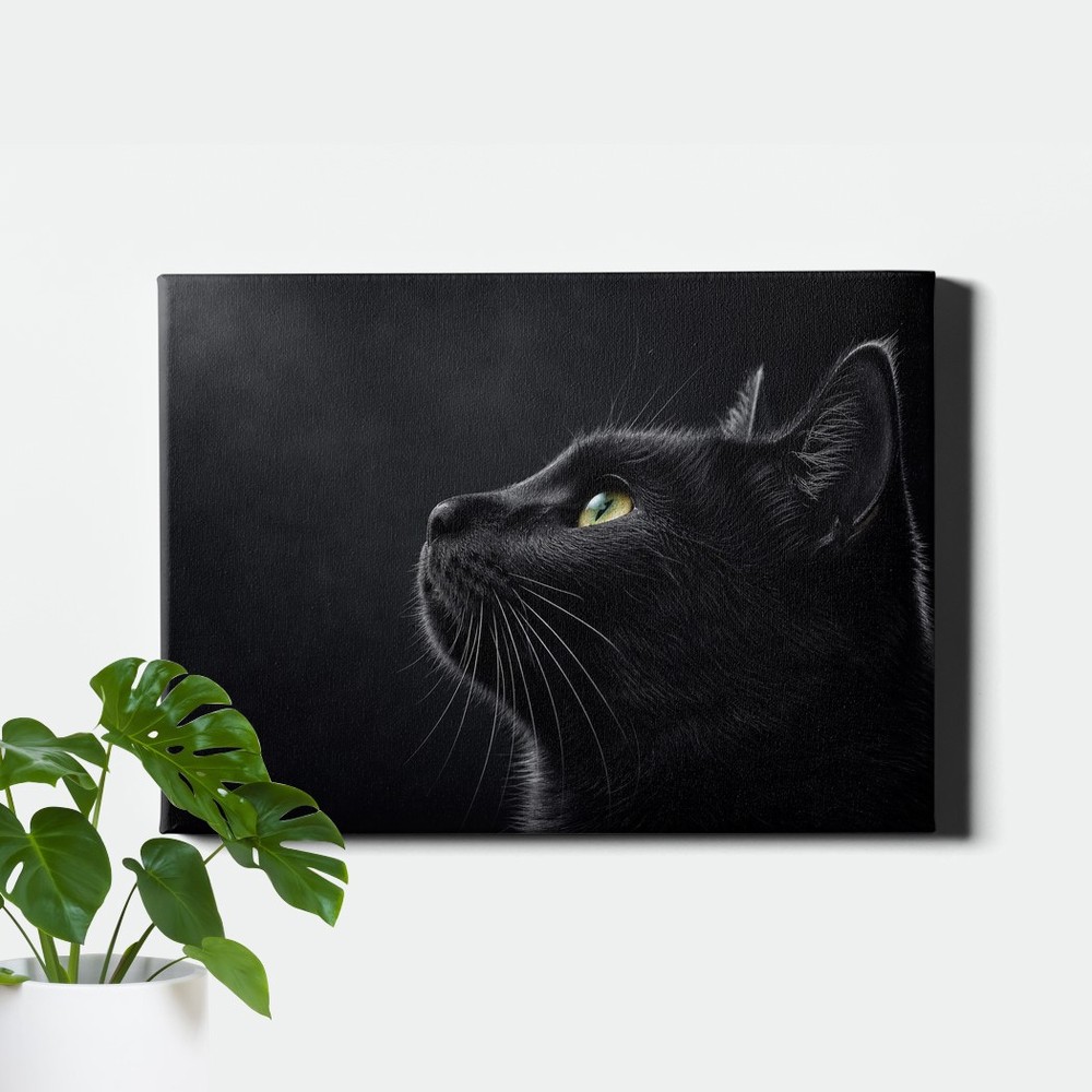 black_cat_portrait_upward_gaze