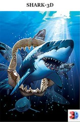 3D Lenticular Picture / Poster Artwork Unique Wall Decor Holographic Pics-2 PACK